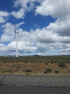 Miles of windmills